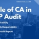 Role of CA in LLP Audit